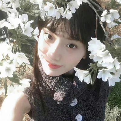 花系列:二